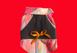 青島、威海、上海高檔寵物服飾用品供應全解析